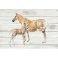 thumbnail image 2 of Adams, Emily 14x11 White Modern Wood Framed Museum Art Print Titled - Horse and Colt on Wood, 2 of 4