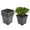 Black, variant on Waltyotur 1/2/3/5/8/10Gallon Plastic Grow Pots Plant Bonsai Square Garden Container 10 Pack