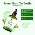 thumbnail image 3 of SVA Citronella Essential Oil – 4 Fl Oz – 100% Natural Citronella Oil - for Diffuser, Hair Care, Face, Skin Care, Aromatherapy, Scalp and Body Massage, Soap and Candle Making - with Dropper, 3 of 9