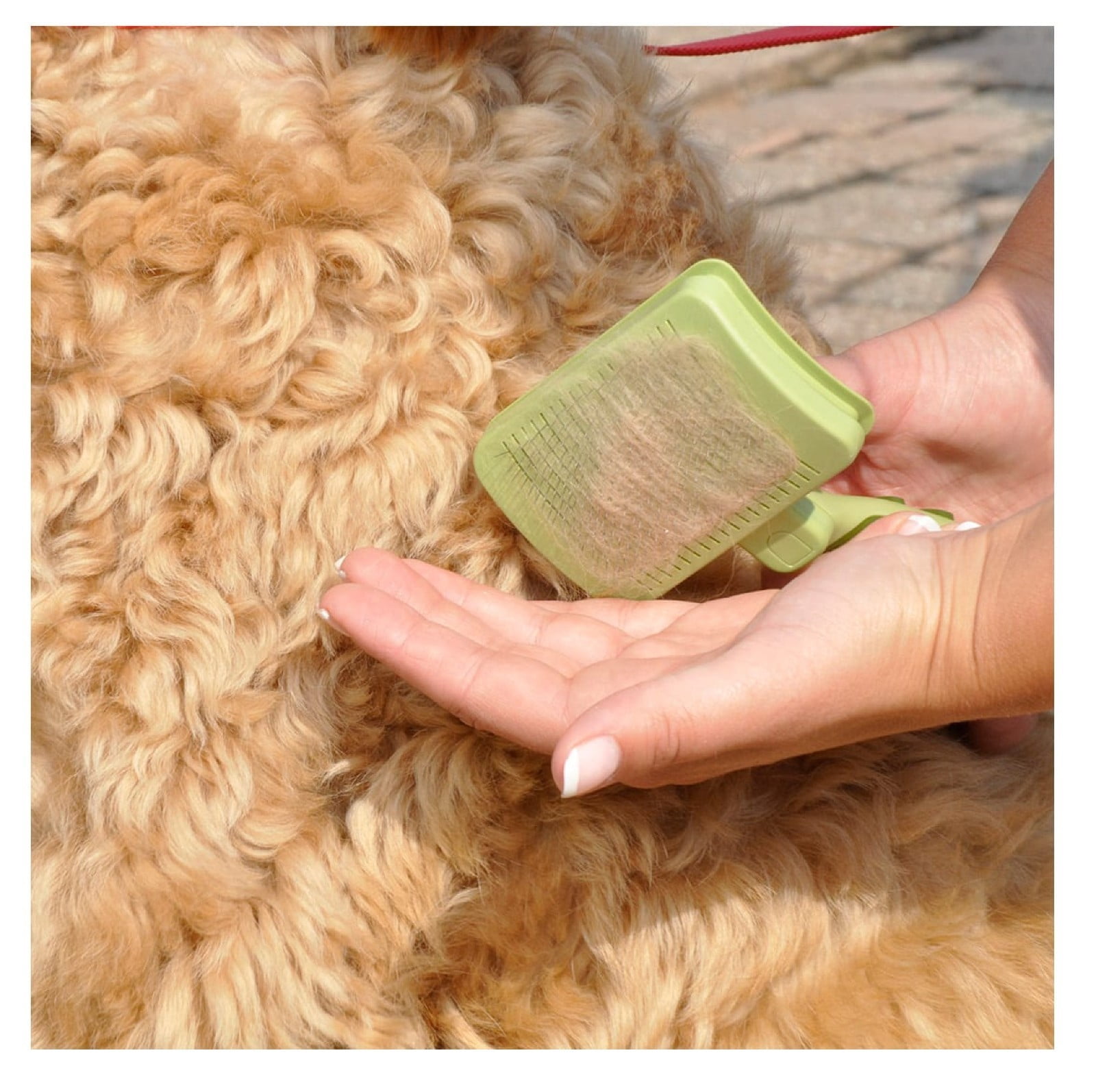 Self Cleaning Soft Dog and Cat Grooming Slicker Brush Easy Ergonomic Grip Handle (Small)