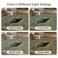 thumbnail image 7 of ODIKA 5'x7' Washable Area Rug Vintage Print Fish Frame Cabin Forest Border Wildlife Fishing Flowing Dynamic for Dining Room, Under Table, Home Office, Non-Slip Chair-Friendly, 7 of 7