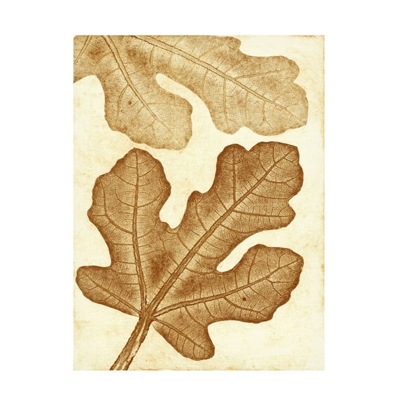 Canvas Wall Art - Pernille Folcarelli 'Fig Ochre' Wall Art for Living Room, Bedroom, or Office Décor by Trademark Fine Art - 14 x 19 Inches