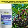 thumbnail image 3 of Elderberry Gummies with Zinc and Vitamin C and Elderflowers Powder - Sambucus Nigra Immune Support for Adults and Kids, 3 of 6