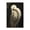 Serene Feathered Egret Portrait, variant on Stupell Industries Coastal Feathered Egret in Soft Light Black Floating Frame Canvas Art, 17 x 25, by Petals Prints Design