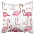 thumbnail image 1 of BOSDECO Pink Party Flamingo Pattern 3D Style White Hand Draw Blue Birthday Beautiful Pillowcase Pillow Cover 20x20 inch, 1 of 1
