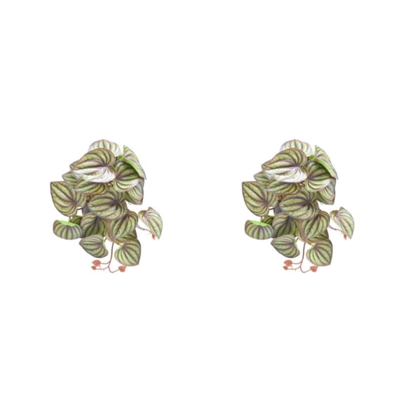 Injueey Plantas artificiales de plástico para terrarios - Touch Of Decoraciones fáciles de limpiar que no dañan la piel Type5 NO5