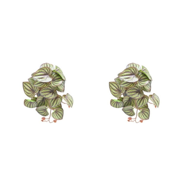 Injueey Plantas artificiales de plástico para terrarios - Touch Of Decoraciones fáciles de limpiar que no dañan la piel Type5 NO5