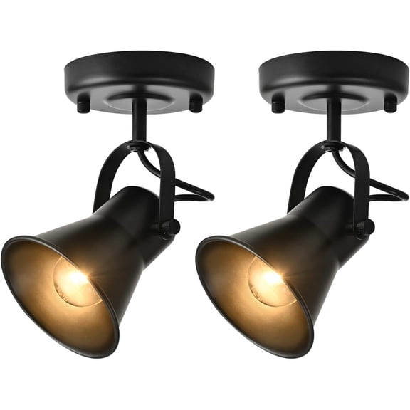 Industrial Mini Track Lighting Ceiling Light, Black Spot Lights Indoor with Multi-Directional Adjustable Light Head, Ceiling Mount Spotlight for Bedroom Living Room Hallway Kitchen(2 Pack)