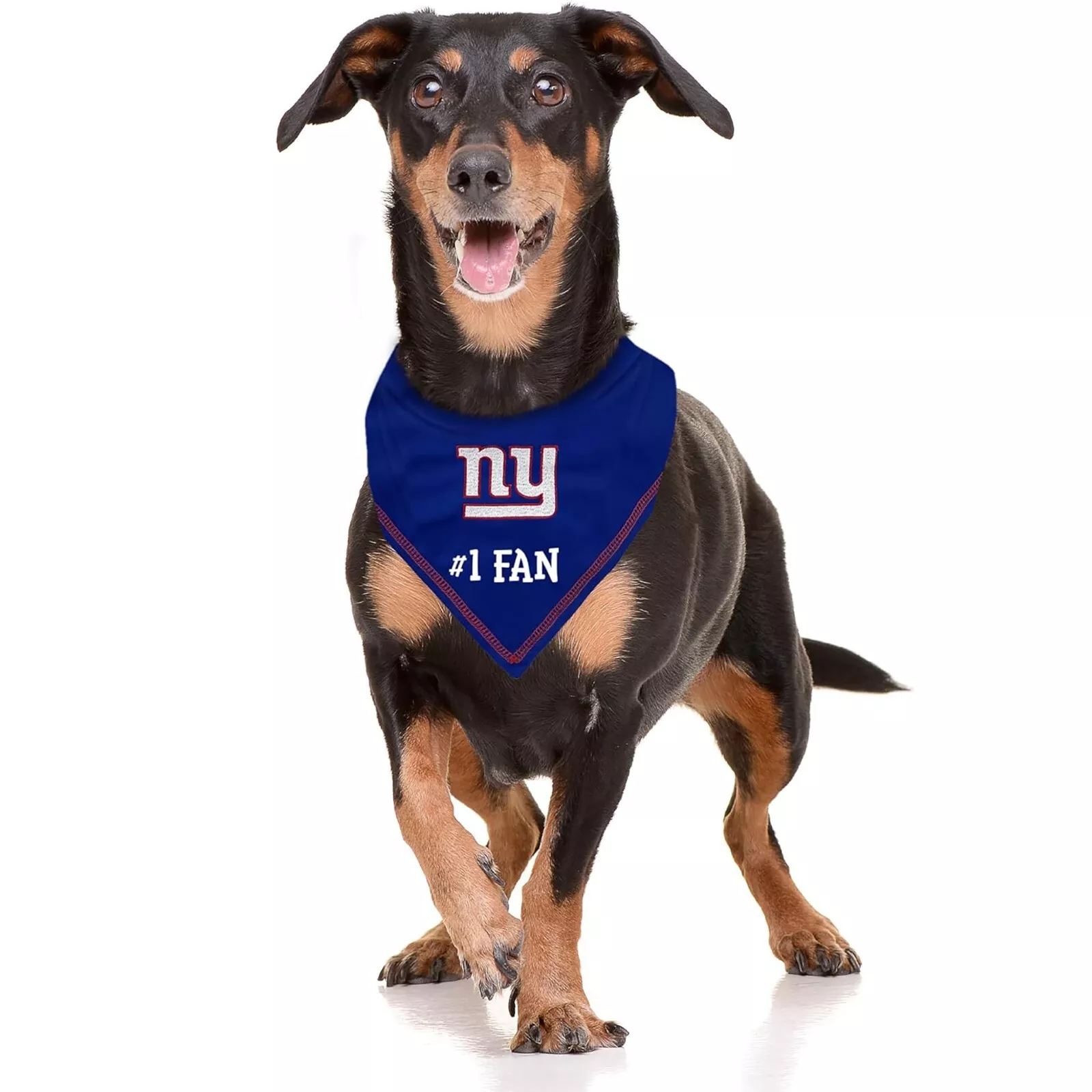 Pets First NFL Personalized Tie Bandana for Dogs & Cats Customizable Dog Bandana