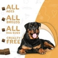thumbnail image 4 of waggedy Omega Max Chews for Dogs, Healthy Coats & Skin with Omega-3 & Omega-6 (60 Chews), 4 of 7