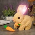 thumbnail image 5 of HUASHENG Children's Simulation Pet Plush Walking And Barking Toy, 5 of 5