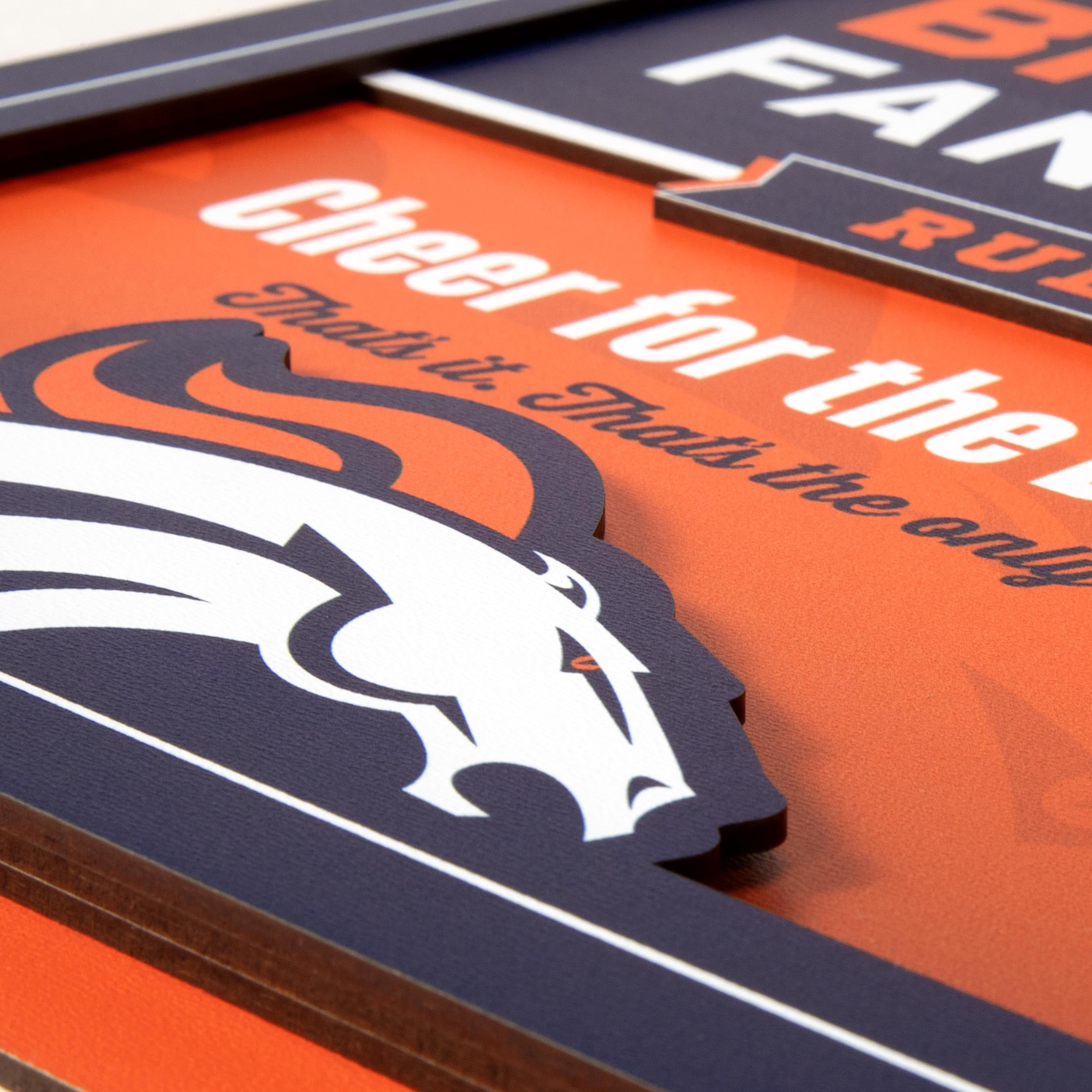 YouTheFan NFL Denver Broncos Fan Rules 3D Wall Art