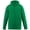 Kelly, variant on 5506A Youth Wicking Fleece Hooded Sweatshirt - Graphite, Small