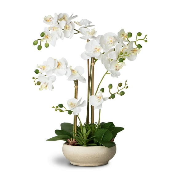 INNVELLO Artificial Orchid Flowers Potted in Ceramic Potfor Home Decor Indoor