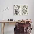 thumbnail image 2 of Stupell Industries Vintage Coral Study Animals & Insects Painting Unframed Art Print Wall Art, 13 x 19, Set of 2, 2 of 7