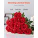 thumbnail image 2 of Rosas artificiales de espuma roja VEVOR, 60 unidades con tallos, 2 of 9