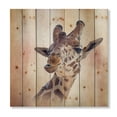 thumbnail image 3 of Designart 'Close Up Portrait of A Giraffe VI' Farmhouse Print on Natural Pine Wood, 3 of 5