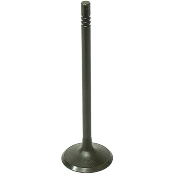 Bronco Intake Valve