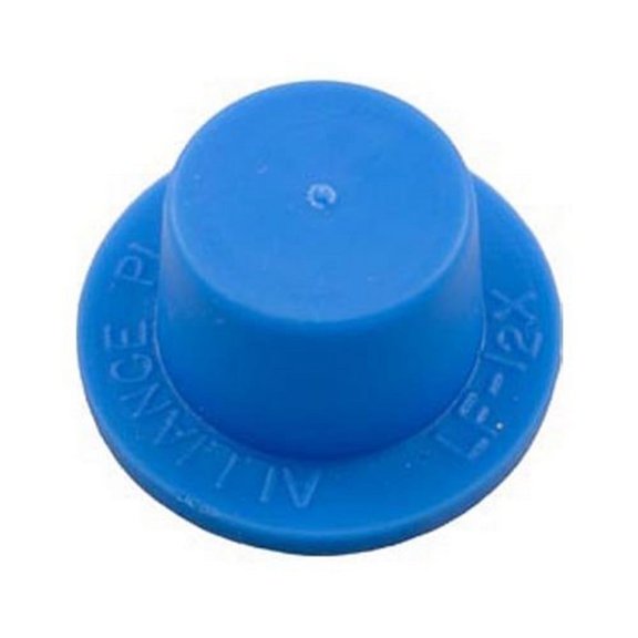 Hayward CX250Z15 Internal By-Pass Plug for Micro StarClear Cartridge Filter