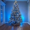 thumbnail image 4 of Danson Décor 100 C7 Plug In LED String Light, Blue/ White, 4 of 4
