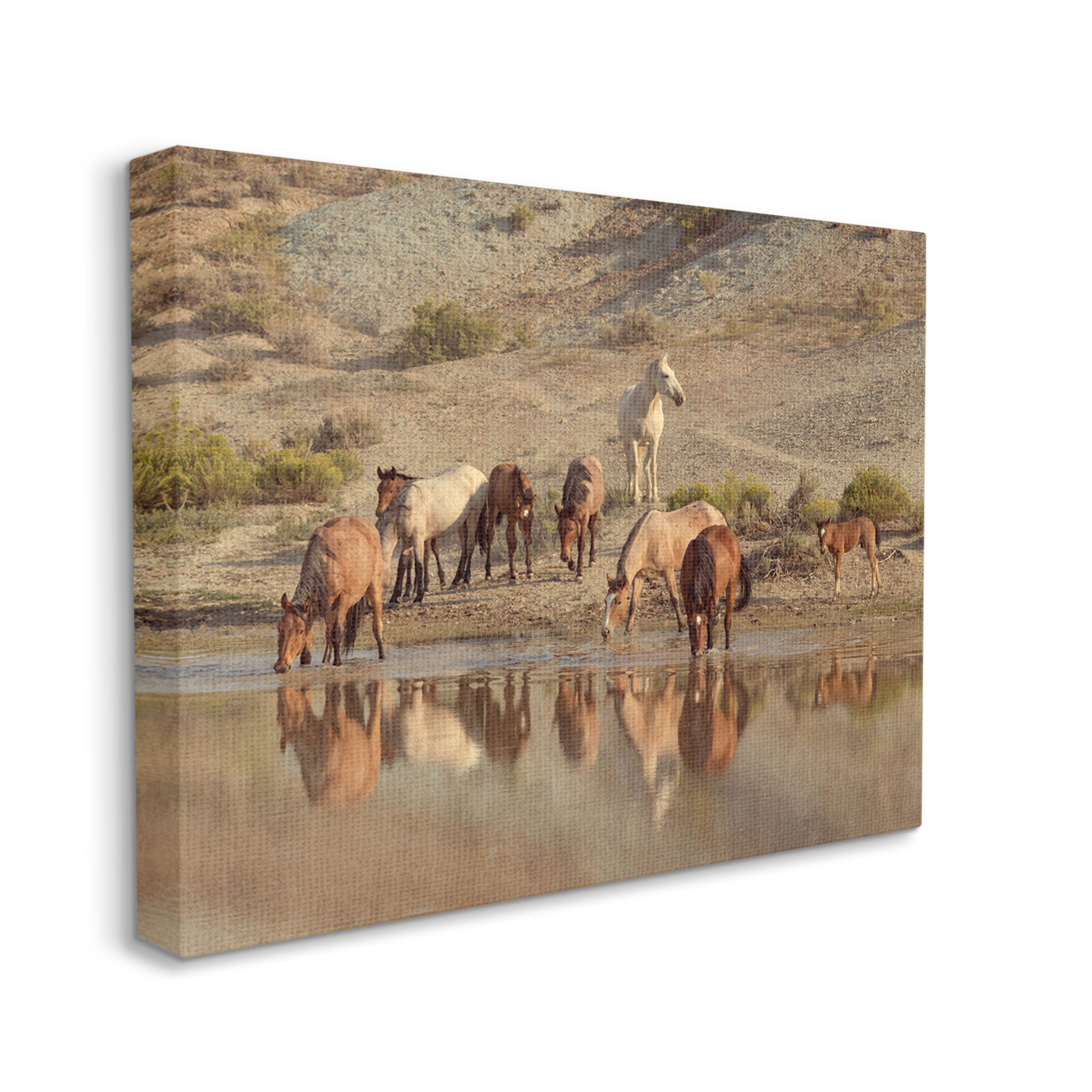 Stupell Industries Horses Drinking Countryside Photograph Gallery Wrapped Canvas Print Wall Art, Design by Jan Walters