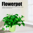 thumbnail image 3 of 4Set Flower Plant Succulent Pot Wall Mounted Iron Planter Garden Balcony Accessory(Light Green Detachable), 3 of 5