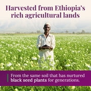 Ethiopian Black Seed Oil 4.2oz (GLASS)