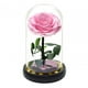 thumbnail image 2 of Rosas de cristal, regalo de flores, aniversario, regalo romántico, regalos del Día de San Valentín para hombres, decoración del Día de San Valentín, , rosa BLESIY luz de mesa, 2 of 8