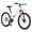 White + 24 Inch MTB, variant on LuckyNote Mountain Bike 24 Inch MTB, Steel Frame, Single Speed, Double Disc Brake, Cyan
