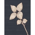 thumbnail image 3 of Gibbons, Lauren 15x18 Black Modern Framed Museum Art Print Titled - Flower 2, 3 of 5