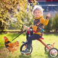 thumbnail image 3 of Arnés ajustable para gallinas con correa elástica cómoda y transpirable para mascotas (patos, gansos, gallinas) para caminar. Talla M., 3 of 5