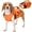 Orange, variant on Kuoser Dog Life Jacket, High Flotation Dog Life Vest for Swimming Boating, Red, L