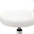 thumbnail image 3 of GoDecor Tabouret Pivotant Hydraulique Réglable Salon de Beauté Chaise à Rayures Blanches & Dossier, 3 of 6