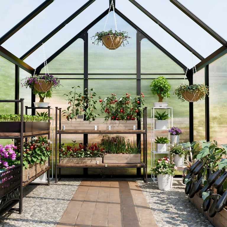 CDCASA 8.2x6.2 FT Quick Setup Polycarbonate Greenhouse with Roof
