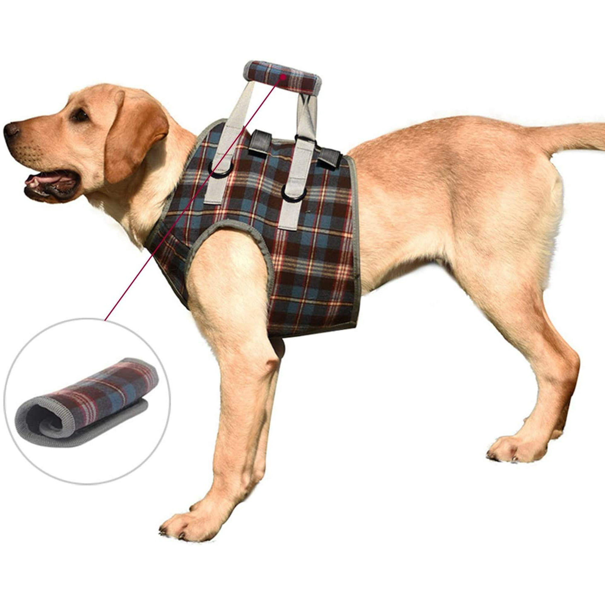 Handicapped pets harness hotsell