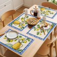 thumbnail image 5 of Summer Botanical Placemats Set of 12, Watercolor Lemons Brown Branch Blue Geometric Frame Non-Slip Place Mats Washable Table Mats for Kitchen Dining Table Decorations Indoor/Outdoor, 5 of 9