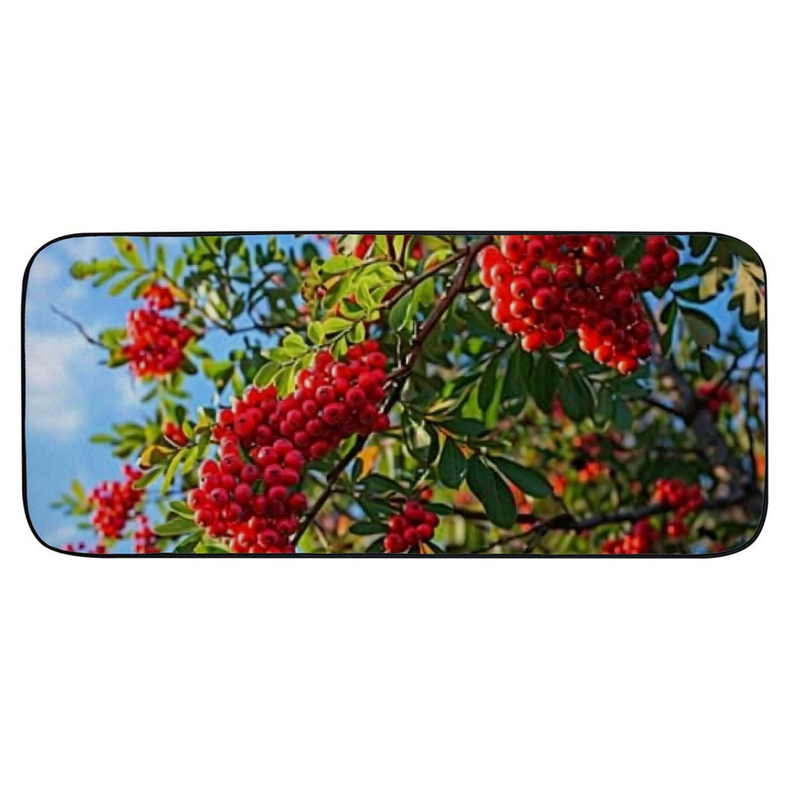 PHYHOO Decorative Door Mat, Door Mat with Non-Slip Rubber Backing, Easy Cleaning, Traps Dirt, Rug for Entry, Patio, Garage - Mountain Ash Ash Berries Red Rowan 19.68*47.24 in
