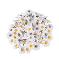 thumbnail image 2 of Eease 4” Artificial Fabric White Daisy Wedding Bouquet (100 Count), 2 of 6