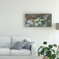 thumbnail image 3 of Trademark Fine Art 'Blurry Lights' Canvas Art by Danhui Nai, 3 of 3