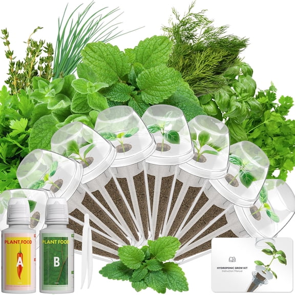 LYKOCLEAN Herb Pod Kit Compatible with AeroGarden System, Complete Indoor Gardening Supply (Herb, 8-pods)