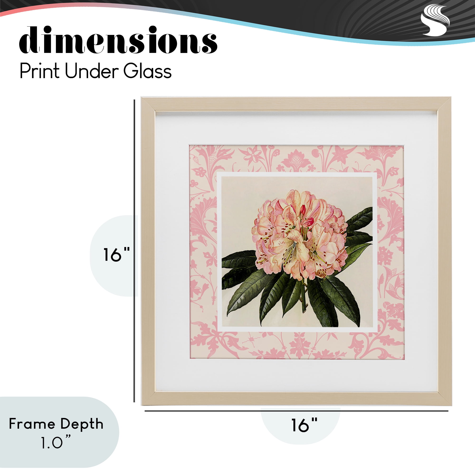 Stupell Industries Pink Pattern Botanical Birch Framed Print Under Glass, design by Livi Finn