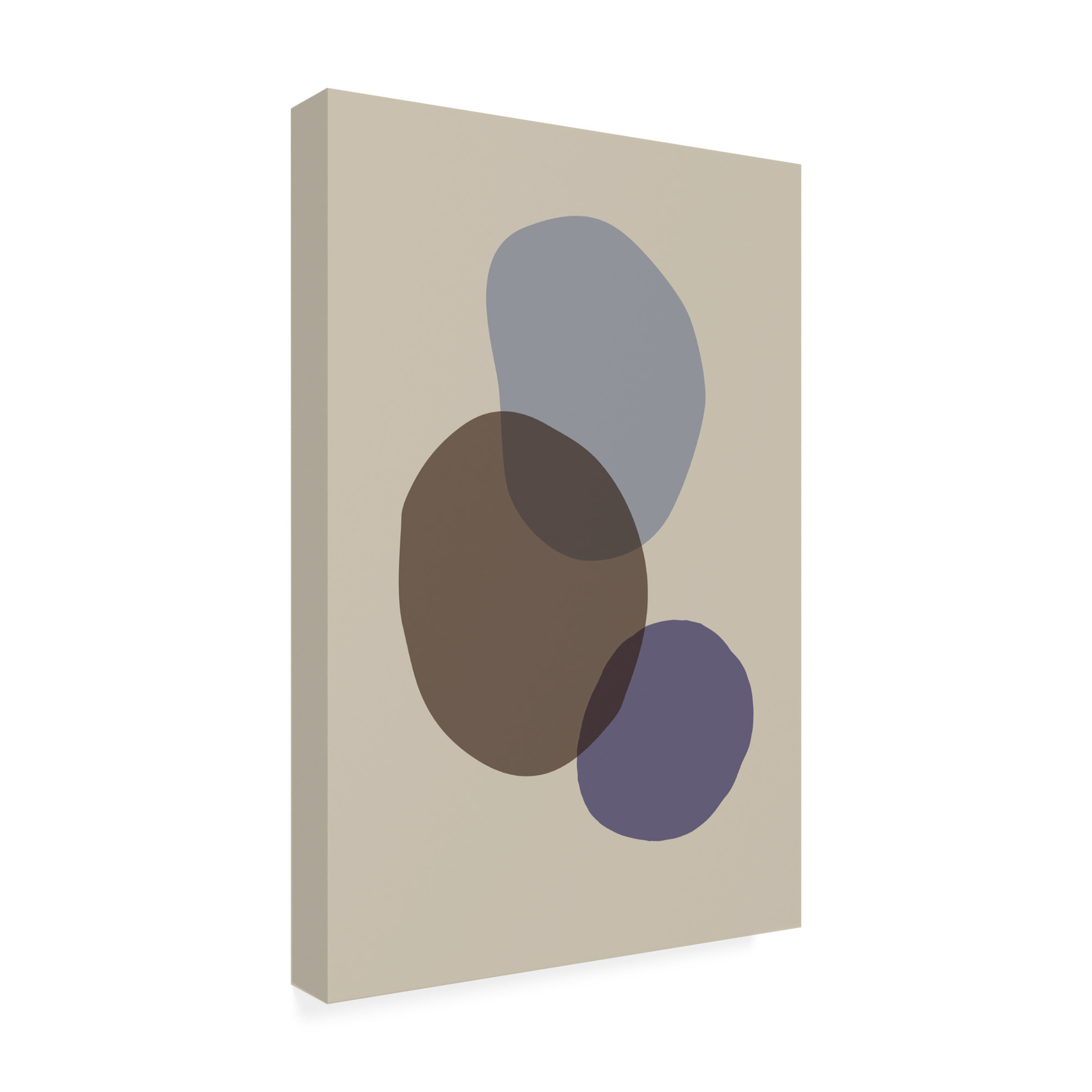 Pictufy Studio 'Organic Shapes 5' Canvas Art - 22 x 32 Inches