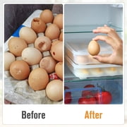 Sorbus Clear Deviled Egg Tray Set – 2 Piece Carrier Holds 48 Eggs Total with Secure Lid, Portable