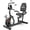 Black, variant on LNOW Recumbent Exercise Bike for Home Use,Quiet recumbent stationary bike for Adult Seniors,16 Magnetic Resistance, Adjustable Seat & Pulse Sensors