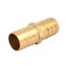 thumbnail image 1 of Conector de manguera recta de 20 mm de diámetro, tono de latón, 1 of 2