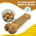 thumbnail image 5 of Nylabone Nubz Peanut Butter Dog Chew Treats Large - 30+ lbs. (15 Count), 5 of 11