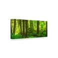 thumbnail image 2 of Trademark Fine Art 'Rainforest Green' Canvas Art by Jason Matias, 2 of 3