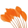 thumbnail image 4 of Uxcell 6-8 Inch Goose Feathers, 50 Pack Bulk Natural Feathers for Crafts Style 4, Orange, 4 of 5