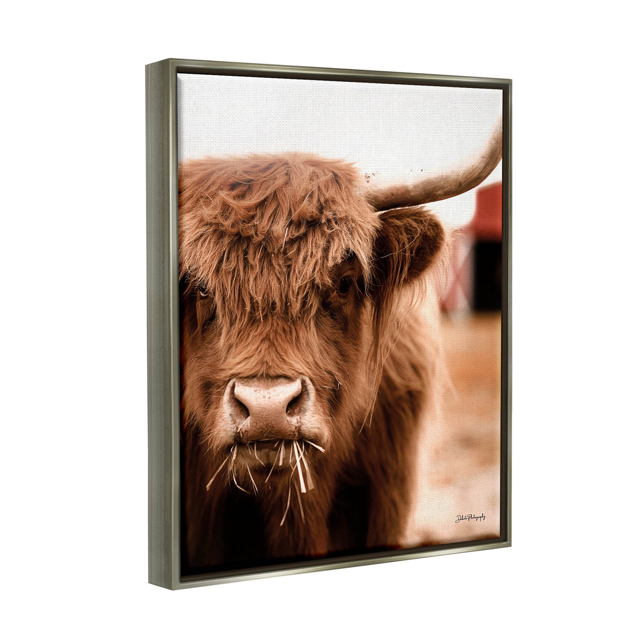 Grazing Cow Animal Portrait Animals & Insects Photograph Luster Gray Framed Art Print Wall Art