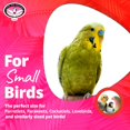 thumbnail image 2 of Super Bird Creations SB323 Small Bungee Bird Toy - Rope Perch for Canary, Parakeets, Cockatiels, Finch, Lovebirds - Colorful Swinging Perch - Bungee Toy for Small Birds & in Bird Cages, 2 of 7